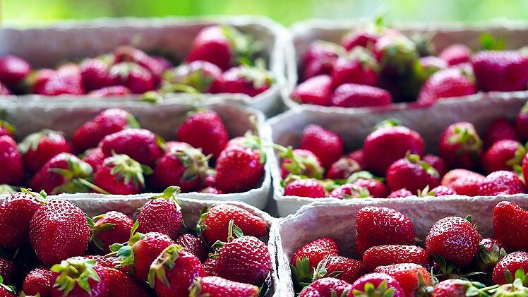 Erdbeeren bringen den Sommer auf den Tisch.
