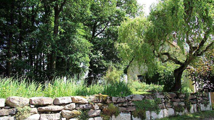 Im Garten der Hausmanns gibt es viel zu entdecken. Foto: Richard Sänger