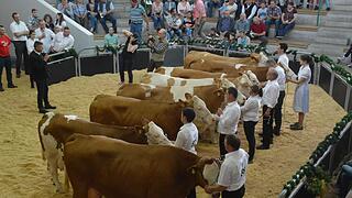 Kreistierschau Kreistierschau