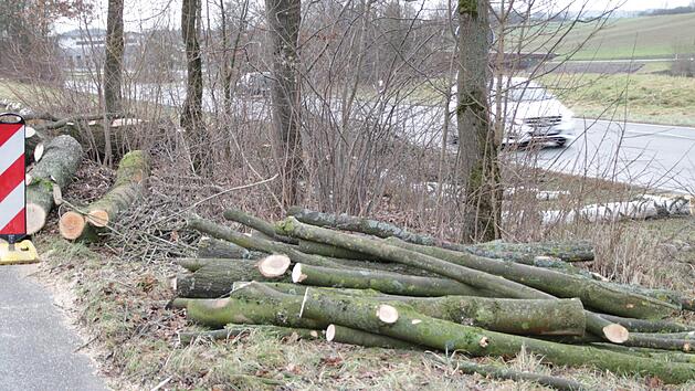 Brigitte Radtke hat kein Verst&auml;ndnis daf&uuml;r, dass neben der Bundesstra&szlig;e 303 gesunde B&auml;ume gef&auml;llt wurden.Klaus Klaschka