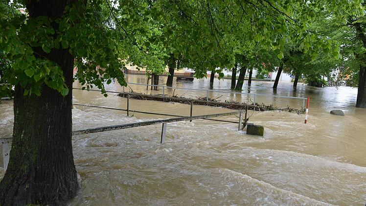 Wiesengiech. Foto:Ronald Rinklef