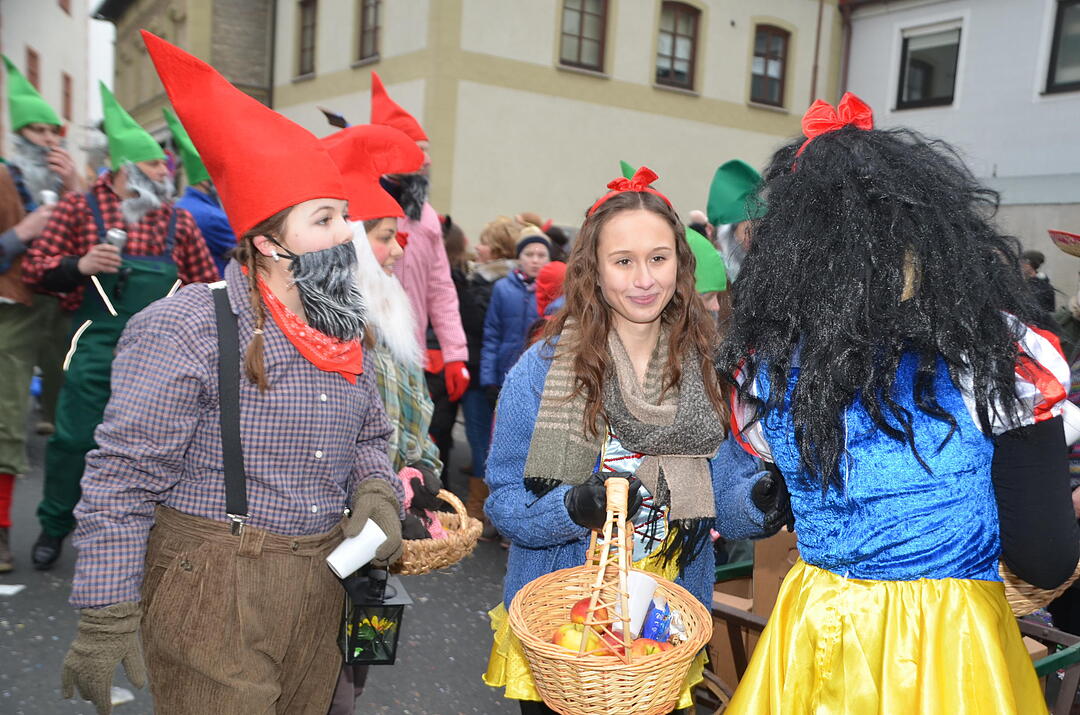 Landkreisfaschingszug 2015