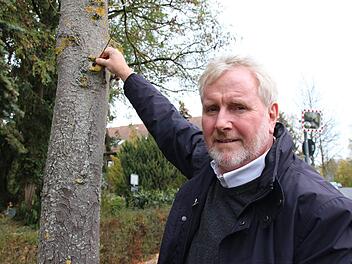 Bernard Ledermann, Leiter des Gr&uuml;nfl&auml;chenamts, stochert mit einem kleinen Ast in einem Loch einer kaputten Kastanie im Gustav-Hirschfeld-Ring. Foto: Jannik Reutlinger