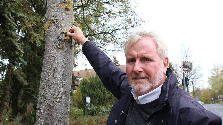 Bernard Ledermann, Leiter des Gr&uuml;nfl&auml;chenamts, stochert mit einem kleinen Ast in einem Loch einer kaputten Kastanie im Gustav-Hirschfeld-Ring. Foto: Jannik Reutlinger