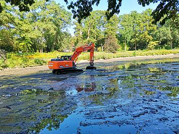 Bamberg: Hainweiher erh&auml;lt Wasser zur&uuml;ck - "Fr&uuml;her fertig als urspr&uuml;nglich geplant"
