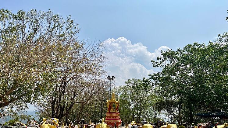 Elefanten-Verehrung in Thailand