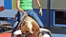 Auch Lehrer probierten das Bullriding aus.  Foto: Klaus Oelzner