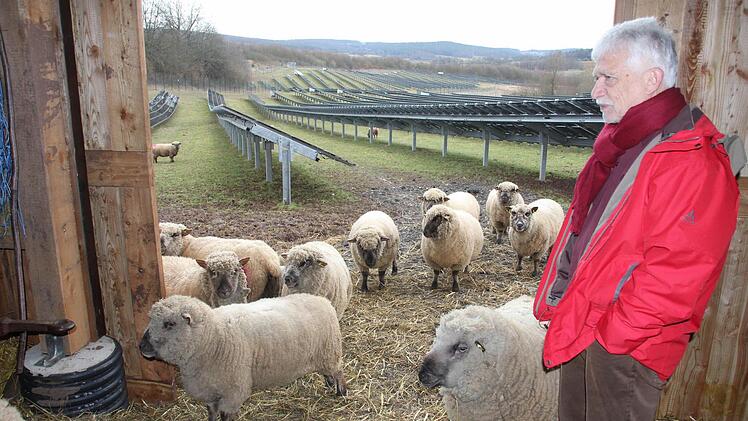 Schafe mähen die Gräser unter den Solarmodulen ab. Eine Idee, die vom Bund Naturschutz, hier vertreten durch Klaus Mandery, umgesetzt wurde Essigrosen-Dickfühlerweichwanze, die bislang in Deutschlanfd als ausgestorben galt.