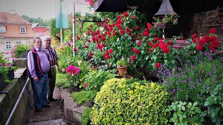 Garten am Rosenturm des Frankenwaldvereins mit prächtigen Rosen. Mit im Bild Helmut Behr (Frankenwaldverein) und Karl Deckelmann (Gartenbauverein). Foto: Gerd Fleischmann