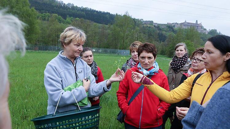 Kräuterseminar: Impressionen einer Entdeckungsreise Foto: Barbara Herbst