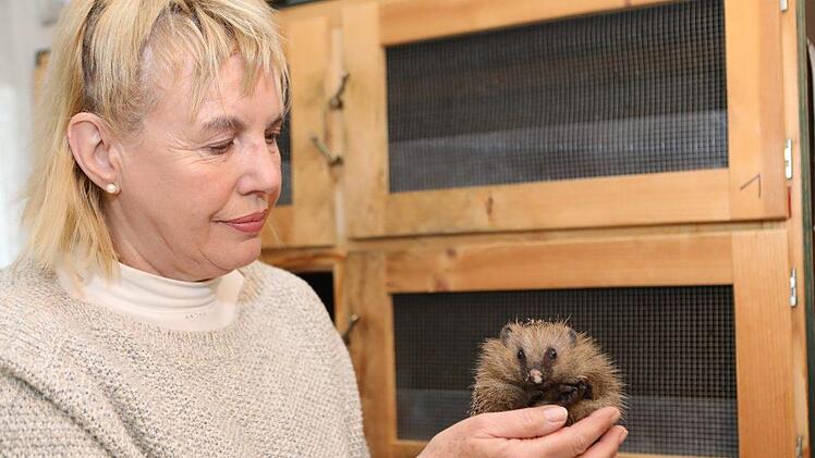 Foto: Barbara Herbst