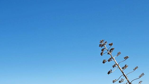 Portugal bietet auch herrliche Sandstr&auml;nde. Foto: Kay Maeritz