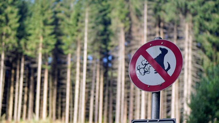 Heute kein Hundetanz. Radler bitte gedenken.