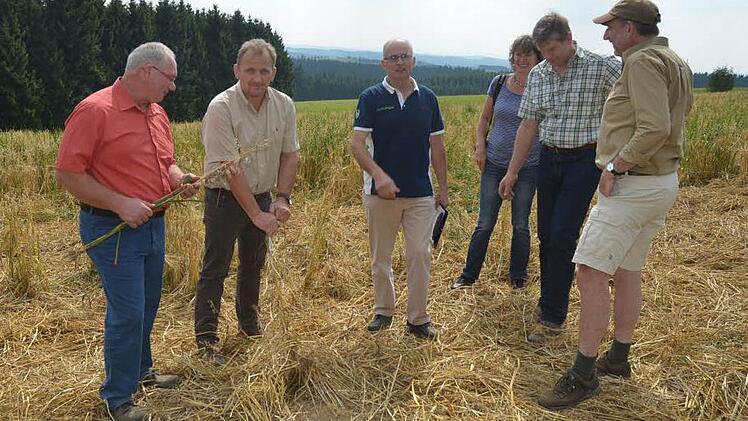 Bei der Diskussion über Schwarzkittel auf einem durch Wildschweine verwüsteten Feld bei Kehlbach (von links): BBV-Kreisobmann Erwin Schwarz, Bernhard Schmitt (Vorsitzender Jagdschutz- und Jägerverband), Landwirt Eugen Heyder, Kreisbäuerin Rosa Zehnter, Klaus Siegelin (stellvertretender Kreisobmann des BBV) und Eckhard Schneider (Zweiter Vorsitzender des Jagdschutz- und Jägerverbandes). Foto: K.-H. Hofmann