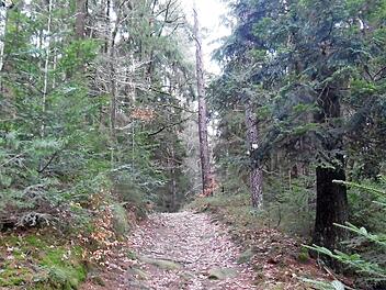 Zum Schluss der Tour 3 geht es noch einmal ordentlich bergauf. Foto: G&uuml;nter Reinlein