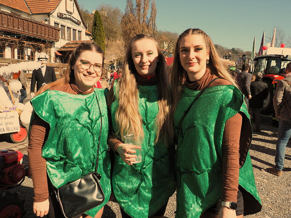 Fasching 2025 im Landkreis Bad Kissingen!