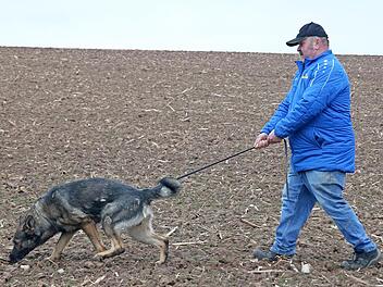 Günter Preiß mit seinem Hund "Ares von den Franken" bei der Fährtensuche auf einem Feld