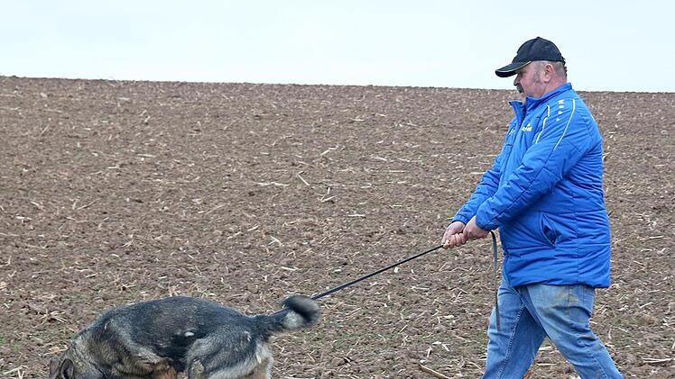 Günter Preiß mit seinem Hund "Ares von den Franken" bei der Fährtensuche auf einem Feld