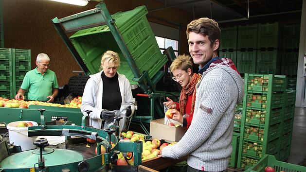 Clemens Schmitt (vorne rechts) hat seit 1. Juli die Betriebsnachfolge von "Schmitt&acute;s Obstgarten &uuml;bernommen. Momentan herrscht Hochsaison, denn die Apfelernte ist in vollem Gange.  Die Familie und Helferinnen aus Reichenbach arbeiten Hand in Hand.Heike Beudert