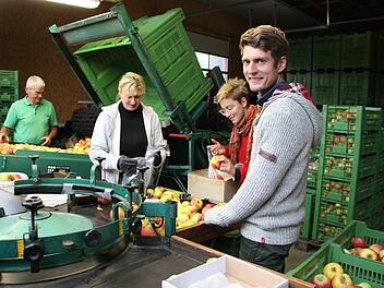 Clemens Schmitt (vorne rechts) hat seit 1. Juli die Betriebsnachfolge von "Schmitt´s Obstgarten übernommen. Momentan herrscht Hochsaison, denn die Apfelernte ist in vollem Gange.  Die Familie und Helferinnen aus Reichenbach arbeiten Hand in Hand.Heike Beudert