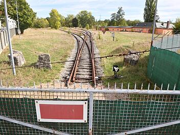 Der Zwickel zwischen Berliner Ring und Geisfelder Straße: Hier sollte das Ausbildungszentrum der Handwerkskammer entstehen. Foto: Rinklef