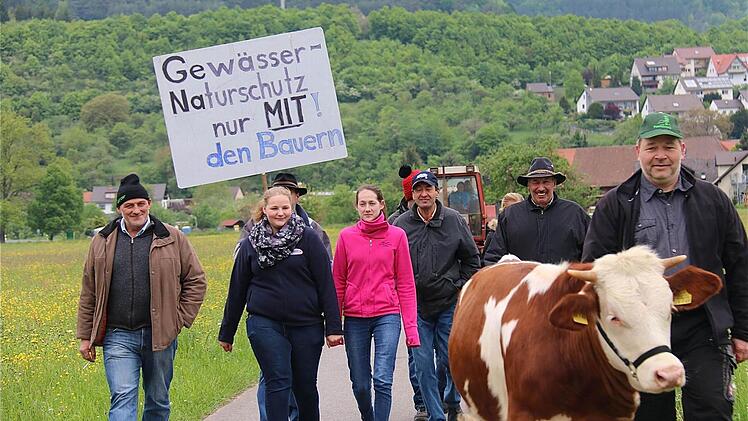 Mehrere Stunden dauert der Protestmarsch von Elfershausen zum WWA Bad Kissingen. Die Kühe bestimmen das Tempo. Foto: Gerd Schaar
