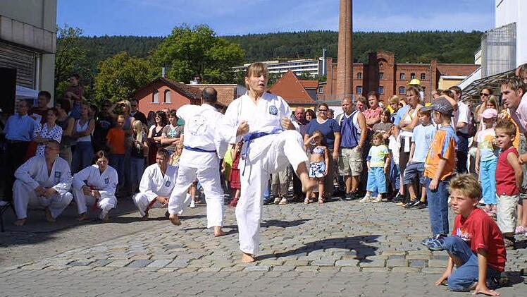 Impressionen aus 25 Jahren Family-Fun-Festival. Foto: Archiv