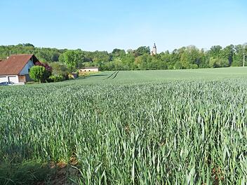 Von der Hauptstraße in Prächting bis zum Kellbach (direkt vor der Baum-/ Buschreihe) verläuft das Neubaugebiet Am Brauhausweg II.
