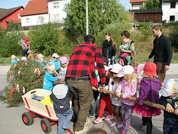 Klare Sache, jeder musste mit anfassen: Mit vereinten Kräften stellten die Kirchaicher Kindergartenkinder ihren Kirchweihbaum am neuen Kindergarten auf. Schon im Kindergarten lernten die kleinen Steigerwälder eine heimische Tradition handfest kennen. Fotos: Sabine Weinbeer