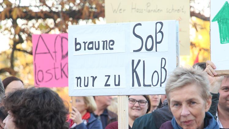Rund 400 Menschen demonstrierten gestern vor der Fortuna Kulturfabrik in Höchstadt  während eines Wahlkampfauftritts der AfD-Politikerin Alice Weidel. Foto: Christian Bauriedel