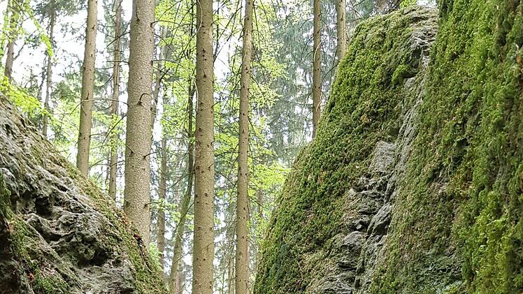 Der Druidenhain Foto: Ronald Heck