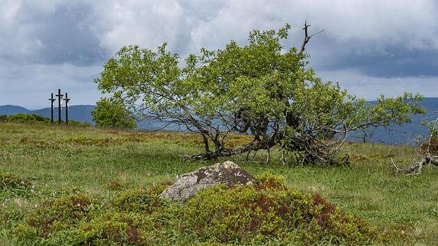 Auf den Kreuzberg f&uuml;hrt die  Bad Bockleter Tageswanderung am Sonntag, 2. August. Foto: J&uuml;rgen H&uuml;fner