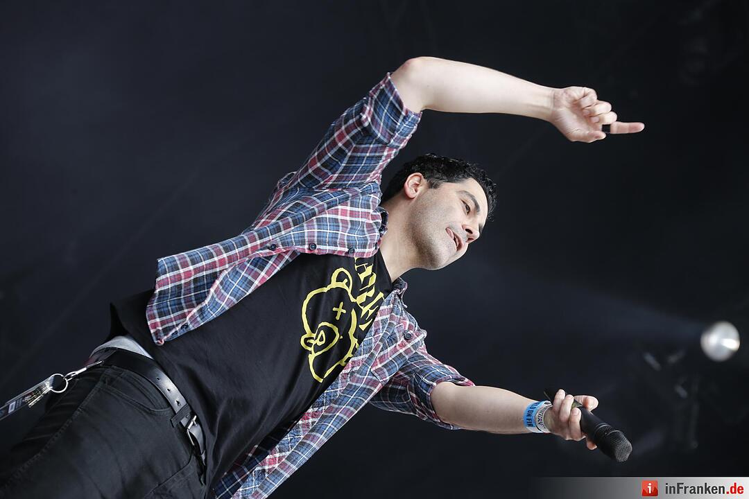 RIP15 - Zebrahead