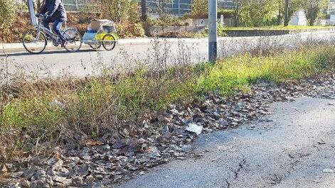 Der Radweg in der Steinbühlstraße ist so marode, dass die Radfahrer ihn links liegen lassen.  Fotos: Ekkehard Roepert