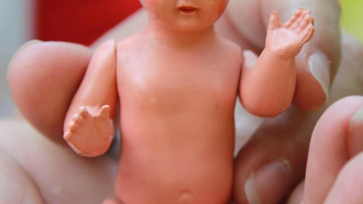 Zufallsfund: eine echte Schildkrötpuppe.