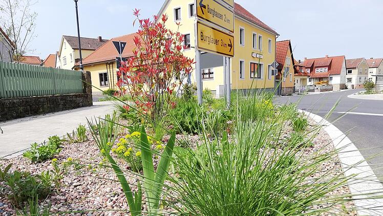 Eng bepflanzte Kiesbeete wie hier in Reichenbach sollen eine pflegeleichte und noch dazu ökologische Alternative zu Schottergärten sein. Foto: Heike Beudert