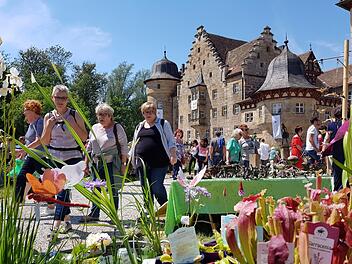 Das Angebot stimmt und die Kulisse ist traumhaft. Das Gartenfest in Schloss Eyrichshof übt seit 15 Jahren Anziehungskraft auf Tausende von Menschen aus. Fotos: Eckehard Kiesewetter
