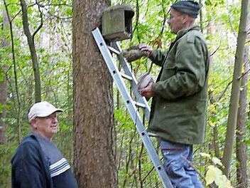 Revierwart Werner Schmitt (l.) und Vogelwart Wolfgang Huber öffnen einen Nistkasten. Foto: Pauline Lindner