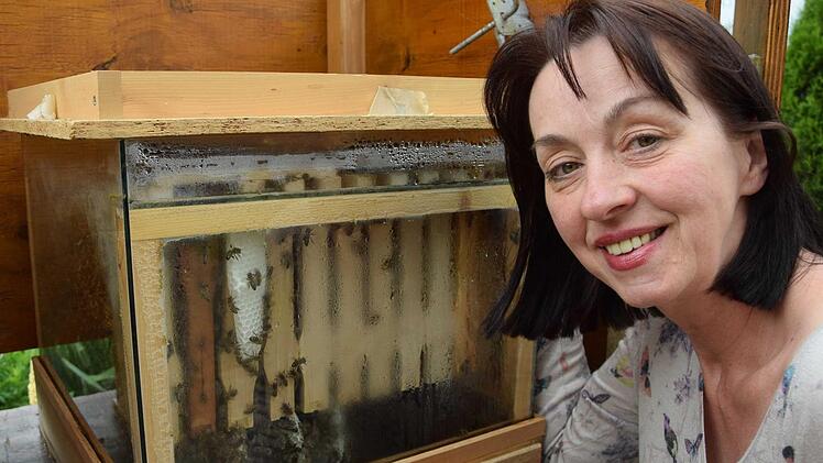 Karin Schmidt hat die Lizenz zum Umsiedeln: Die Insektenberaterin wird angeklingelt, wenn sich Menschen unsicher sind, was sie mit einem Wespennest im oder am Haus anfangen sollen. Foto: Carmen Schmitt