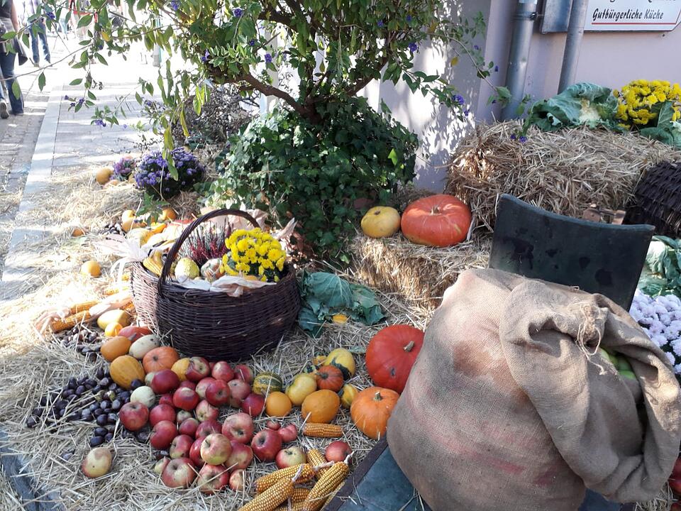 Die schönsten Herbstfotos aus Bad Kissingen und Umgebung
