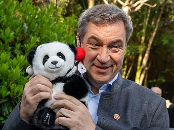 Bayerns Ministerpr&auml;sident S&ouml;der mit Panda