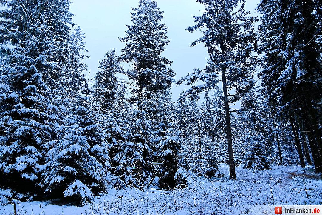 Schnee im Fichtelgebirge