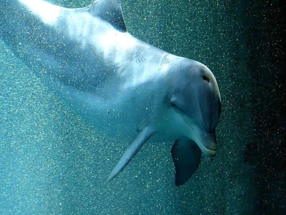 Tiergarten Nürnberg