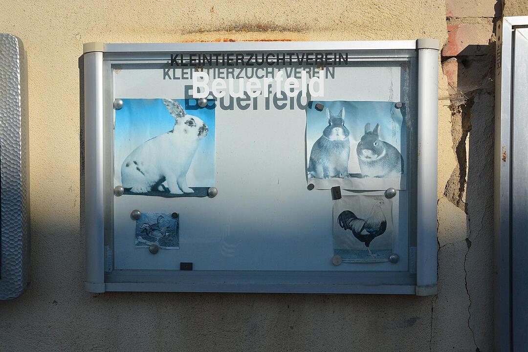 14.10.2015  Fotoreportage Beuerfeld