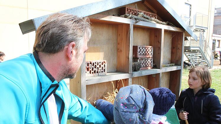 Das alte Insektenhotel wurde mit Naturmaterialien neu bestückt.