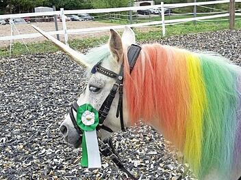 Ein Einhorn in Moschendorf Foto: Mandy Egloffstein