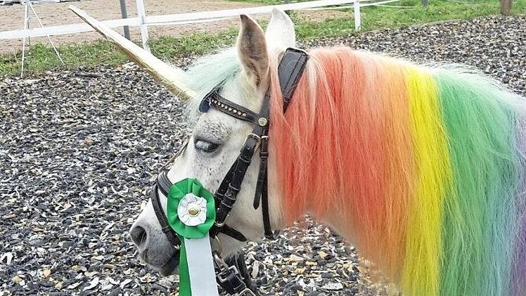 Ein Einhorn in Moschendorf Foto: Mandy Egloffstein