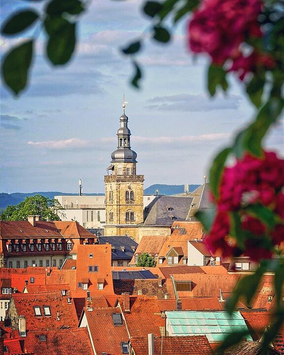 Die schönsten Fotos im Juni aus Bamberg und Umgebung