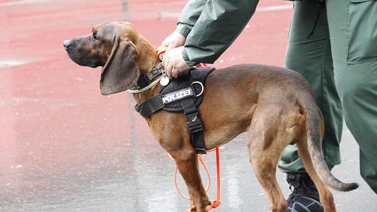 Symbolfoto: Alexander G. Walter/Polizeipr&auml;sidium Oberfranken