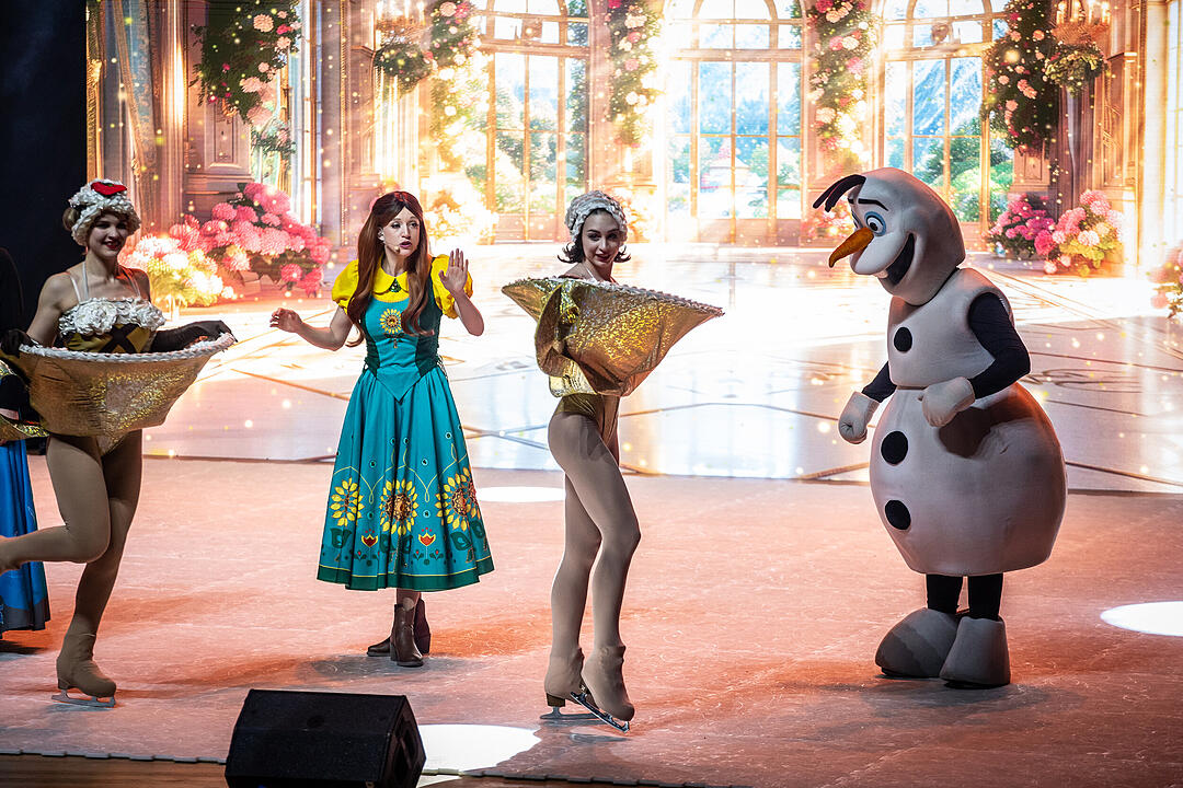 Märchenhafte Magie für alle Elsa, Anna und Olaf Fans!